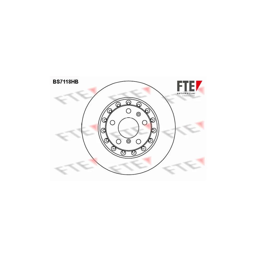 FTE 9082589 Brake Disc