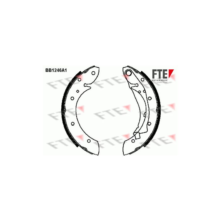 FTE 9100050 Brake Shoe Set