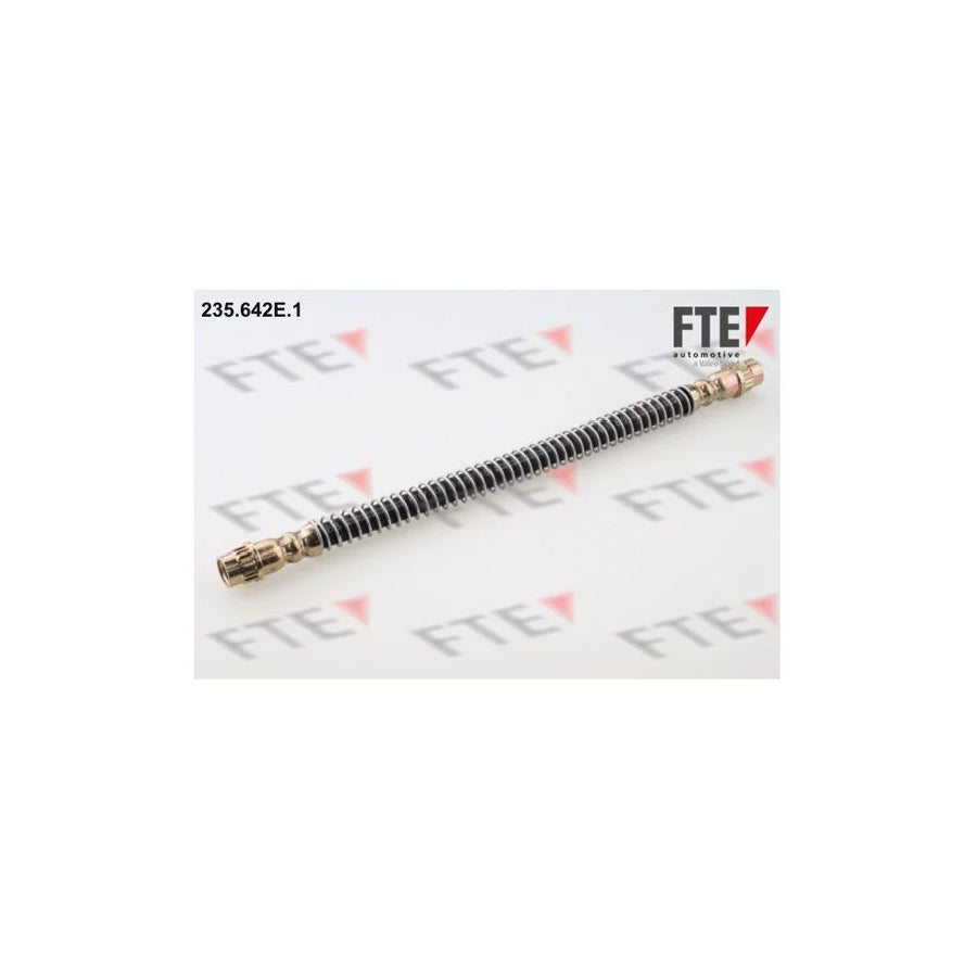 FTE 9240089 Brake Hose for Citroã N C5