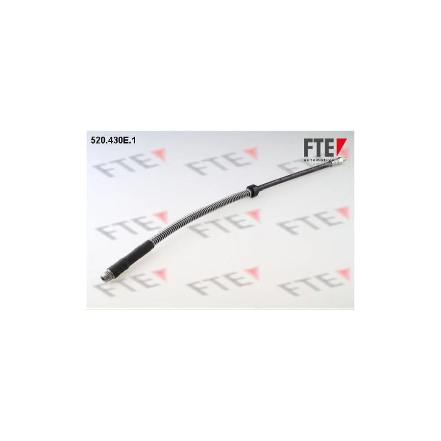 FTE 9240304 Brake Hose for Peugeot 306