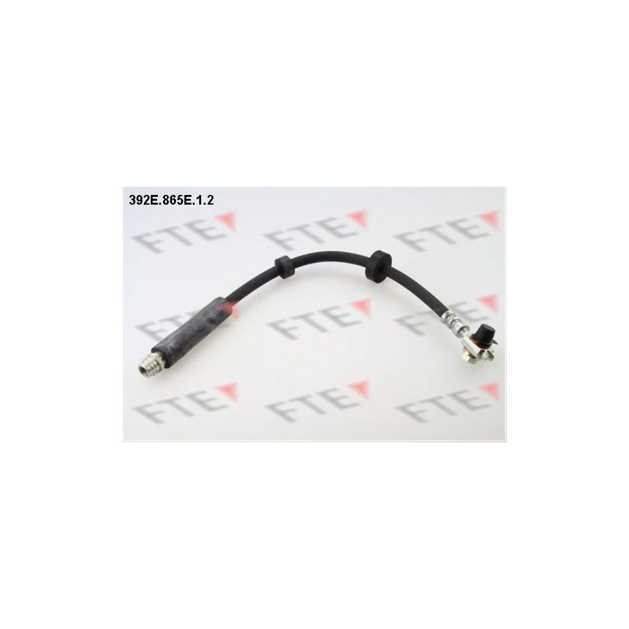FTE 9240552 Brake Hose for Audi A2 (8Z0)