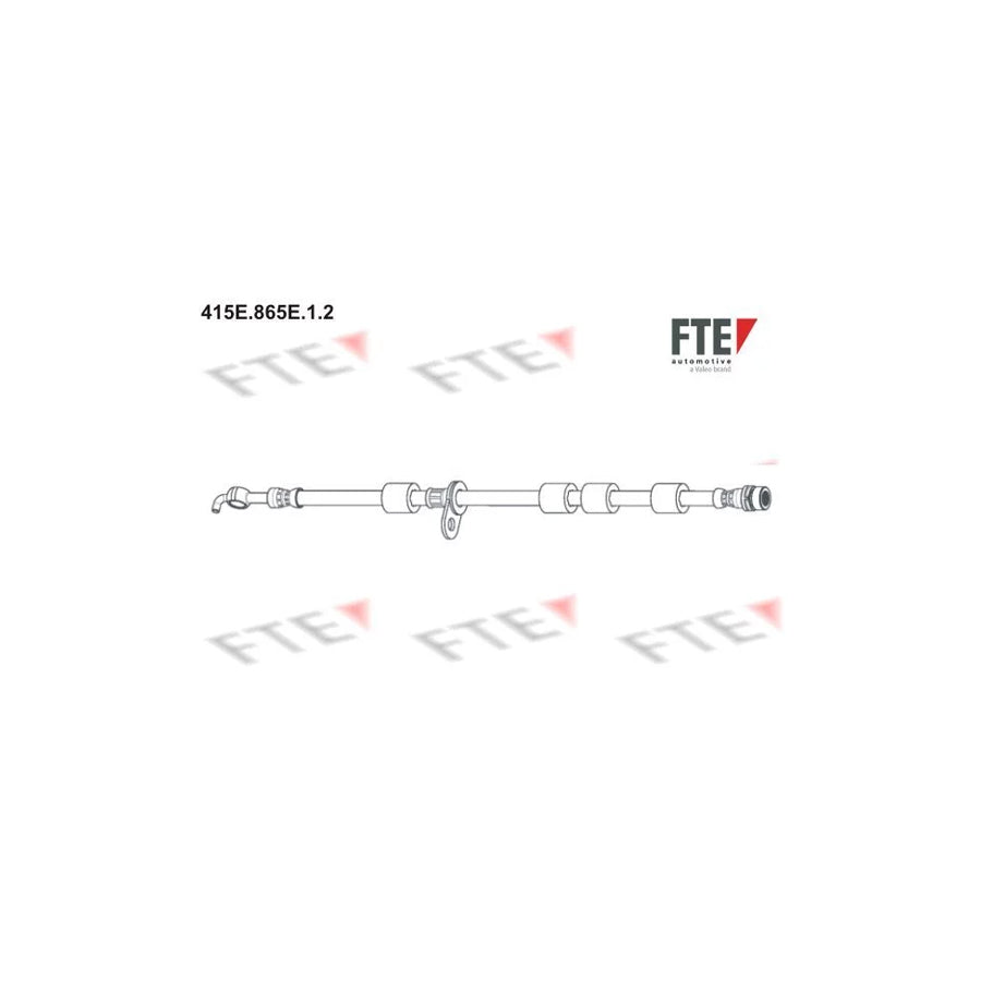 FTE 9240596 Brake Hose