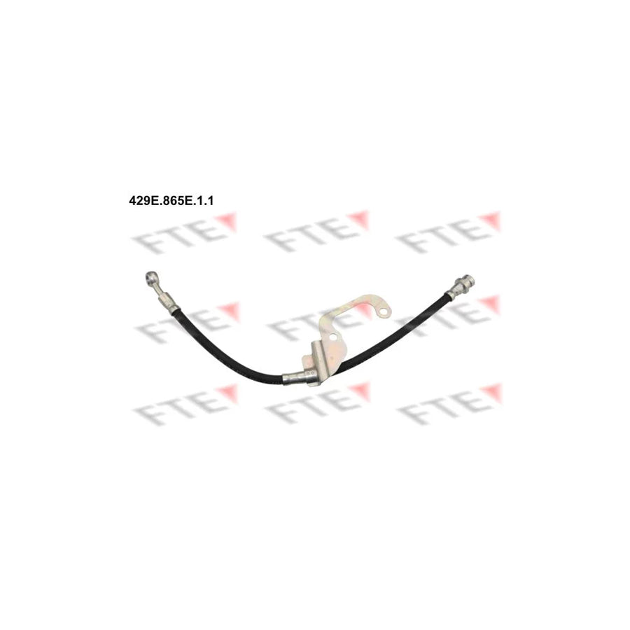 FTE 9240616 Brake Hose for Hyundai Terracan (Hp)