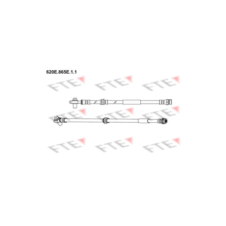 FTE 9240814 Brake Hose for Audi Tt