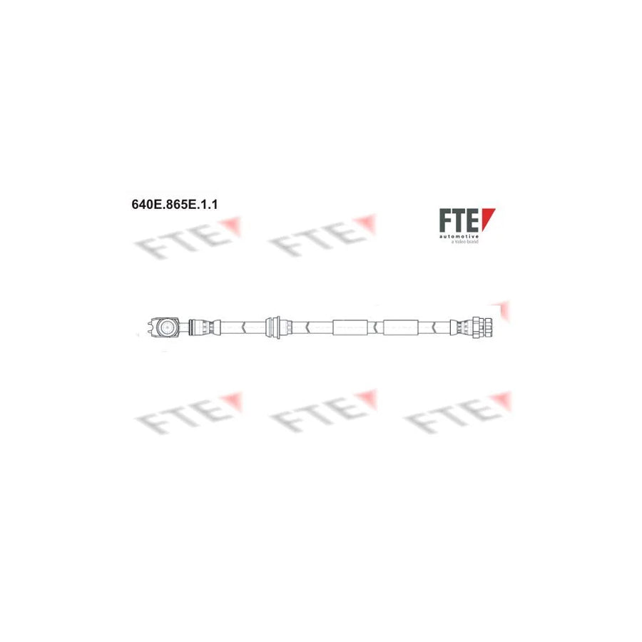 FTE 9240819 Brake Hose
