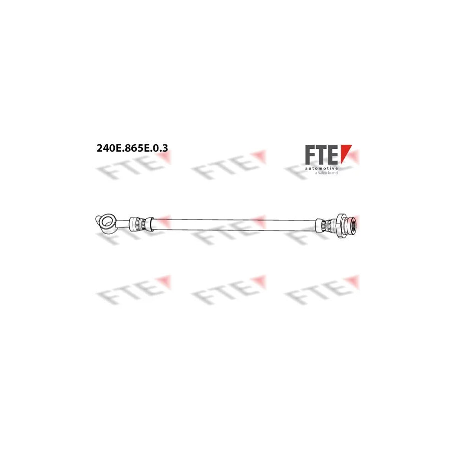 FTE 9240918 Brake Hose