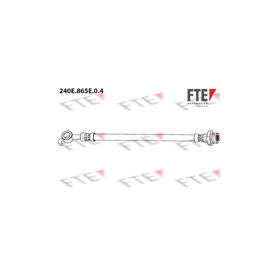 FTE 9240919 Brake Hose