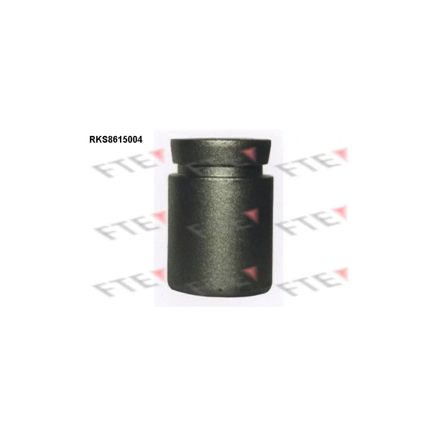 FTE 9313001 Piston, Brake Caliper