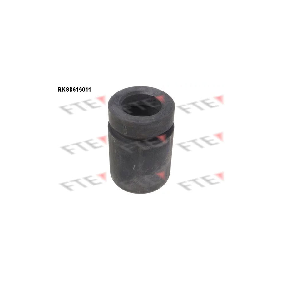 FTE 9313005 Piston, Brake Caliper for BMW 3 Series