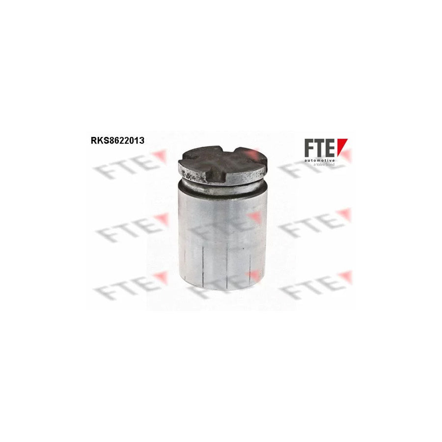 FTE 9313010 Piston, Brake Caliper