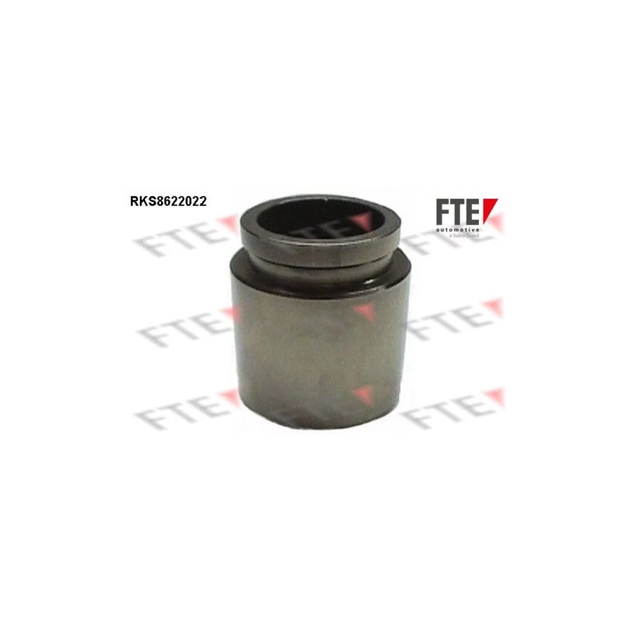 FTE 9313011 Piston, Brake Caliper