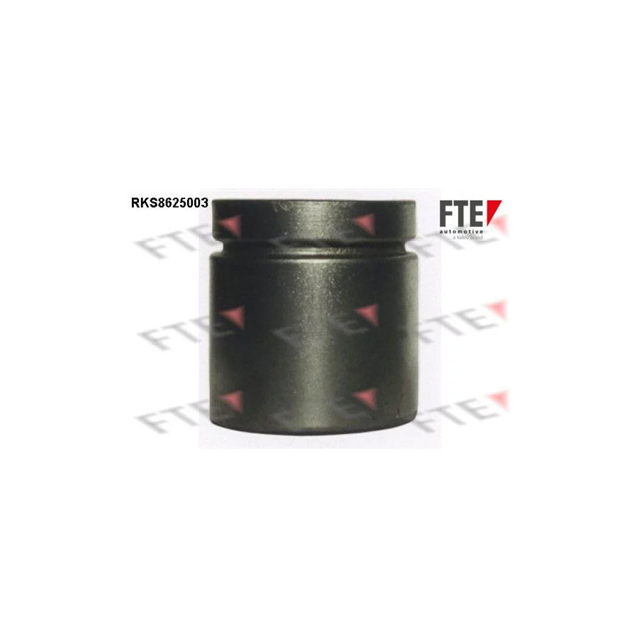 FTE 9313016 Piston, Brake Caliper
