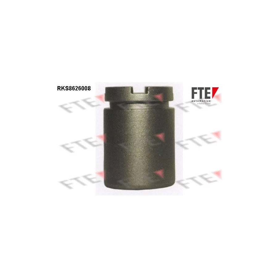 FTE 9313022 Piston, Brake Caliper