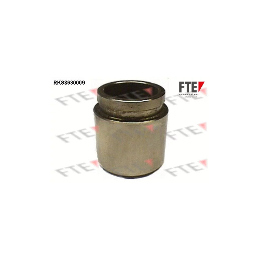 FTE 9313026 Piston, Brake Caliper