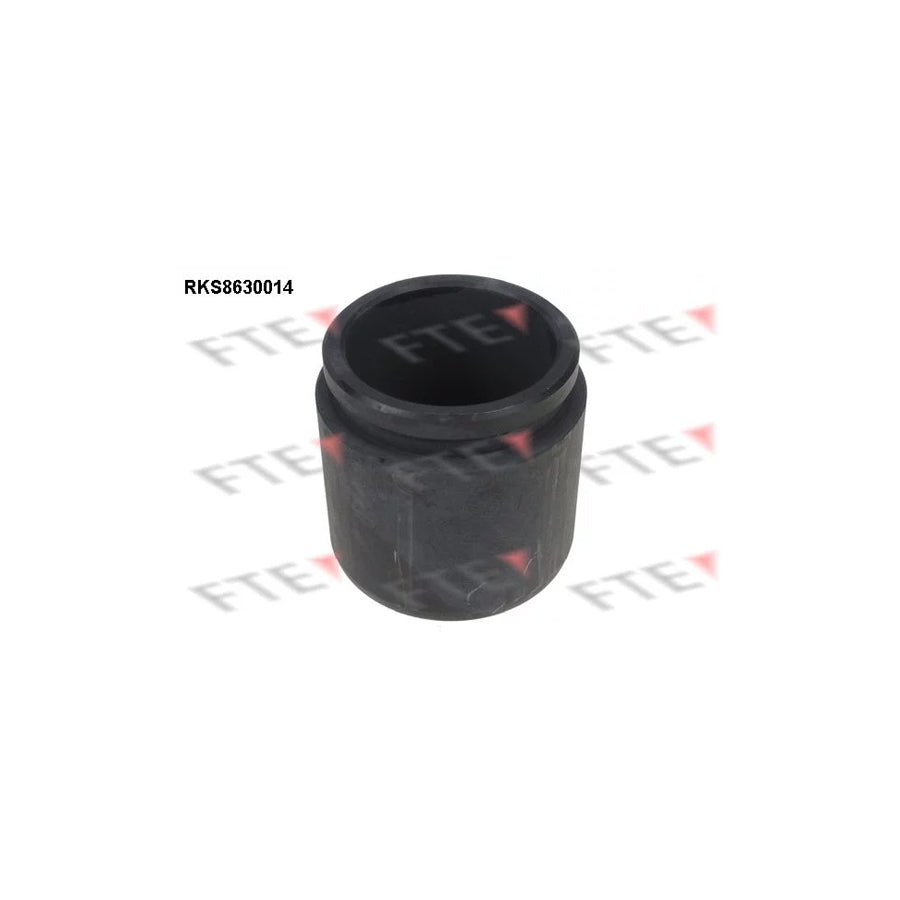 FTE 9313028 Piston, Brake Caliper