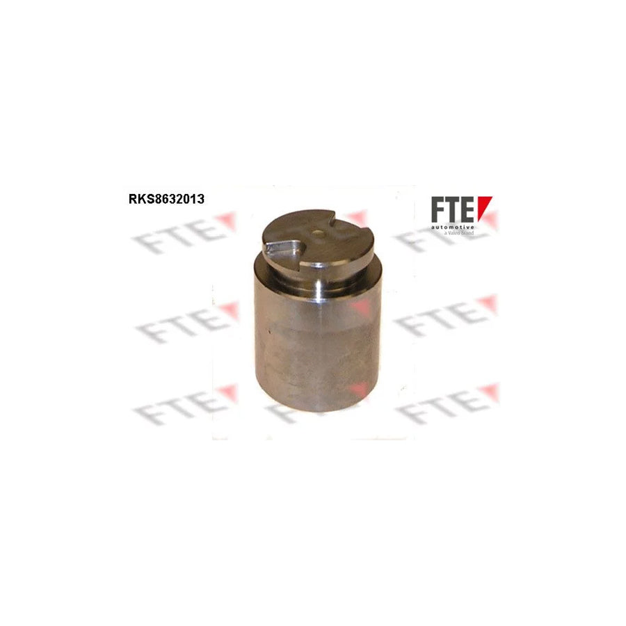 FTE 9313031 Piston, Brake Caliper