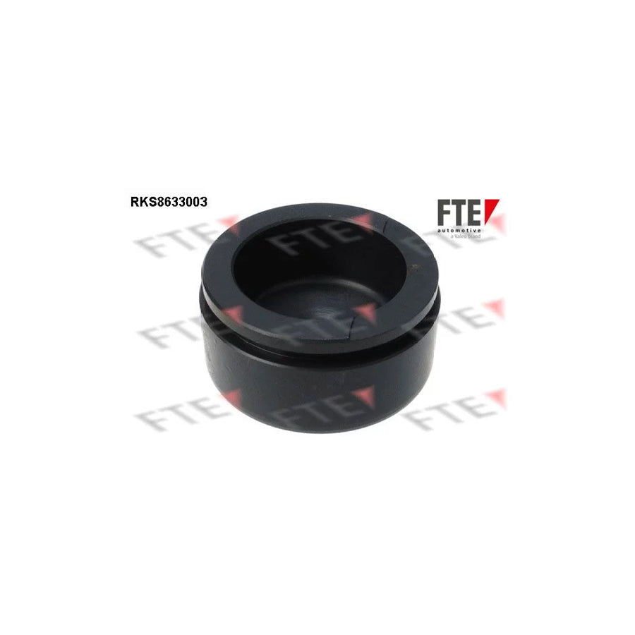FTE 9313032 Piston, Brake Caliper