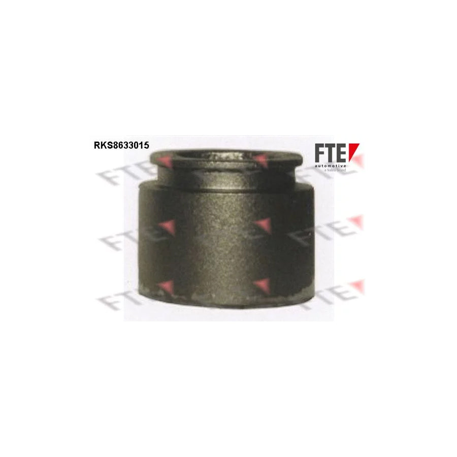 FTE 9313037 Piston, Brake Caliper