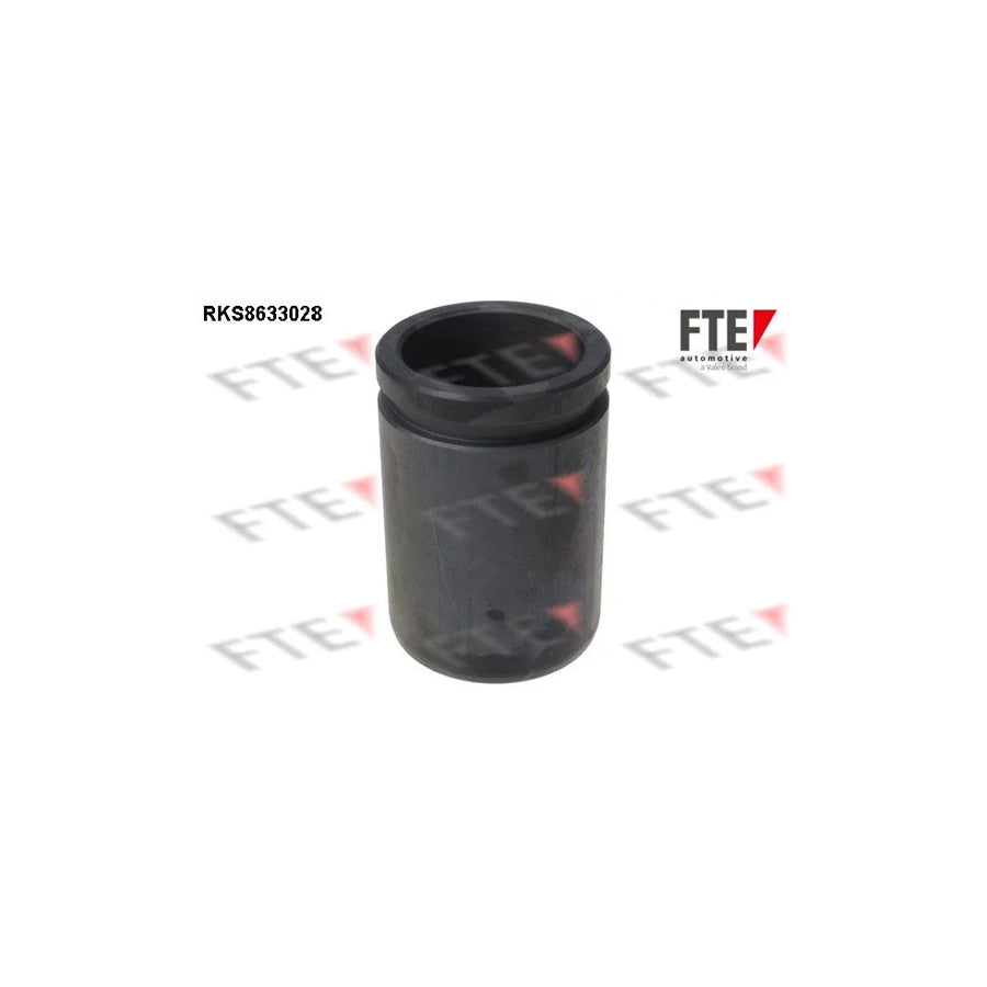 FTE 9313039 Piston, Brake Caliper