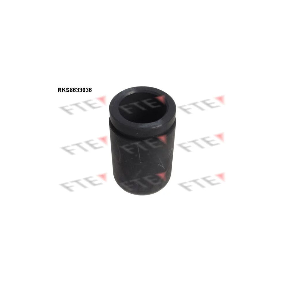 FTE 9313043 Piston, Brake Caliper