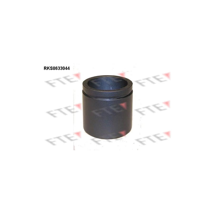 FTE 9313045 Piston, Brake Caliper Suitable for Mercedes-Benz E-Class