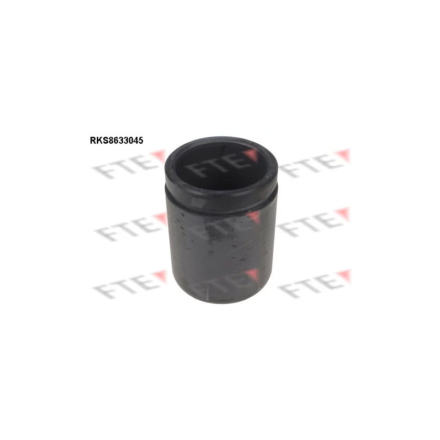 FTE 9313046 Piston, Brake Caliper