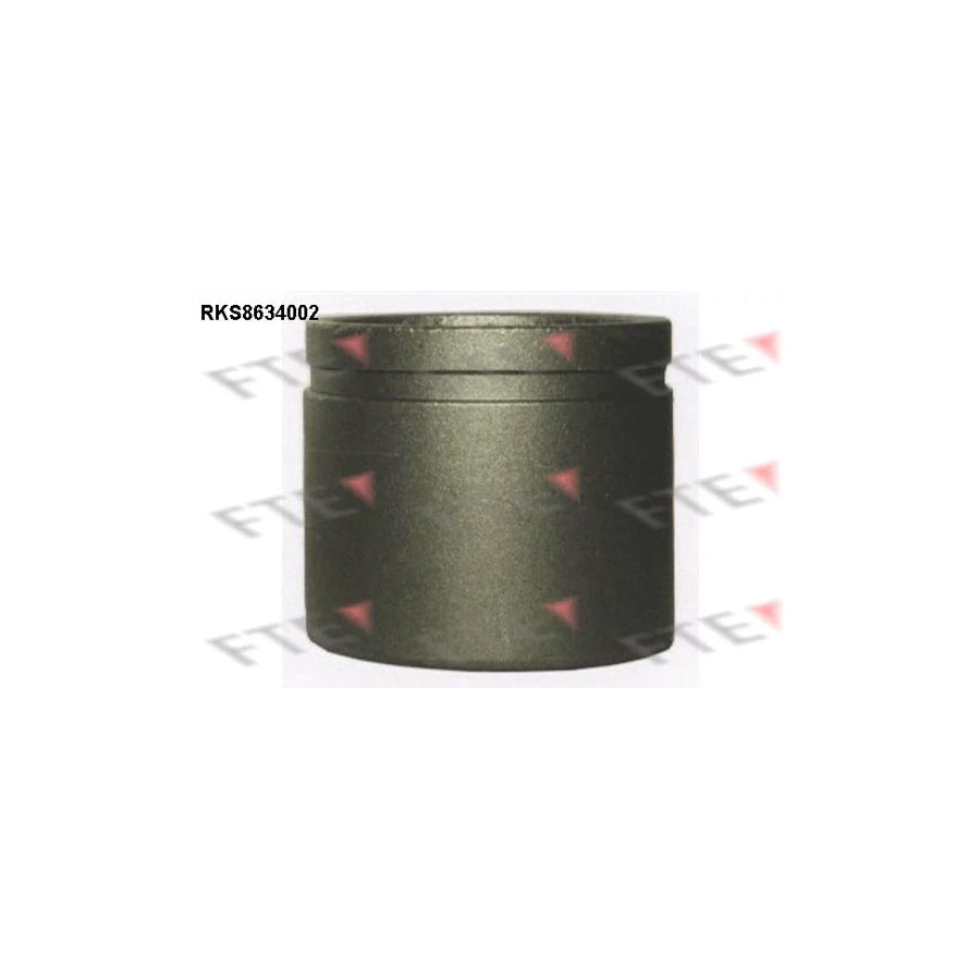FTE 9313050 Piston, Brake Caliper