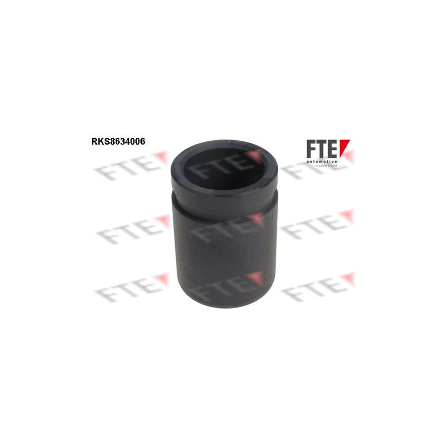 FTE 9313052 Piston, Brake Caliper