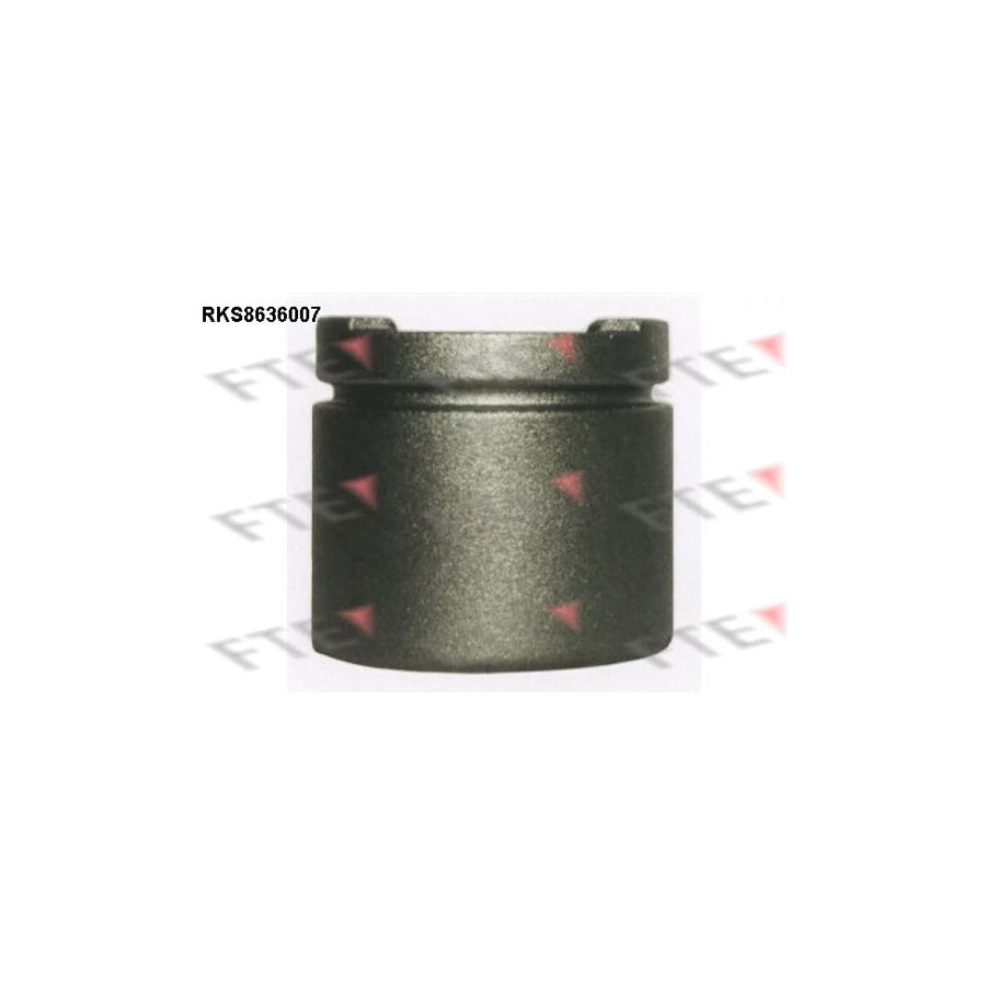 FTE 9313054 Piston, Brake Caliper
