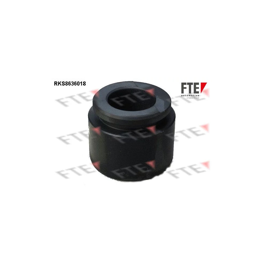 FTE 9313057 Piston, Brake Caliper