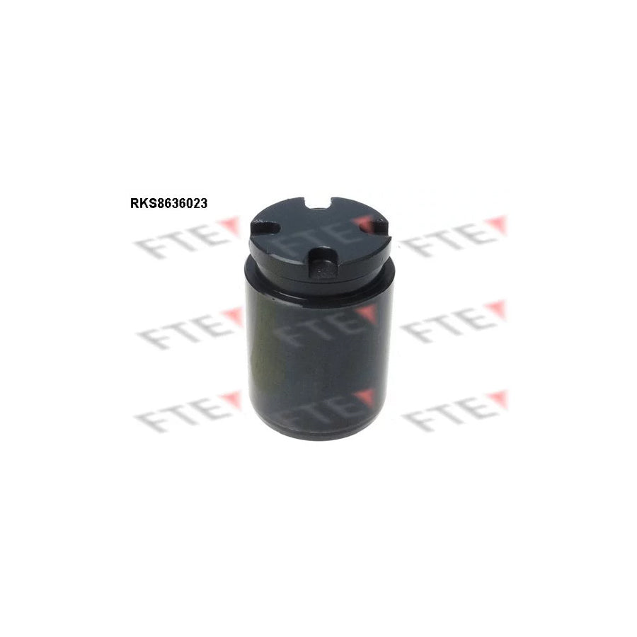 FTE 9313058 Piston, Brake Caliper