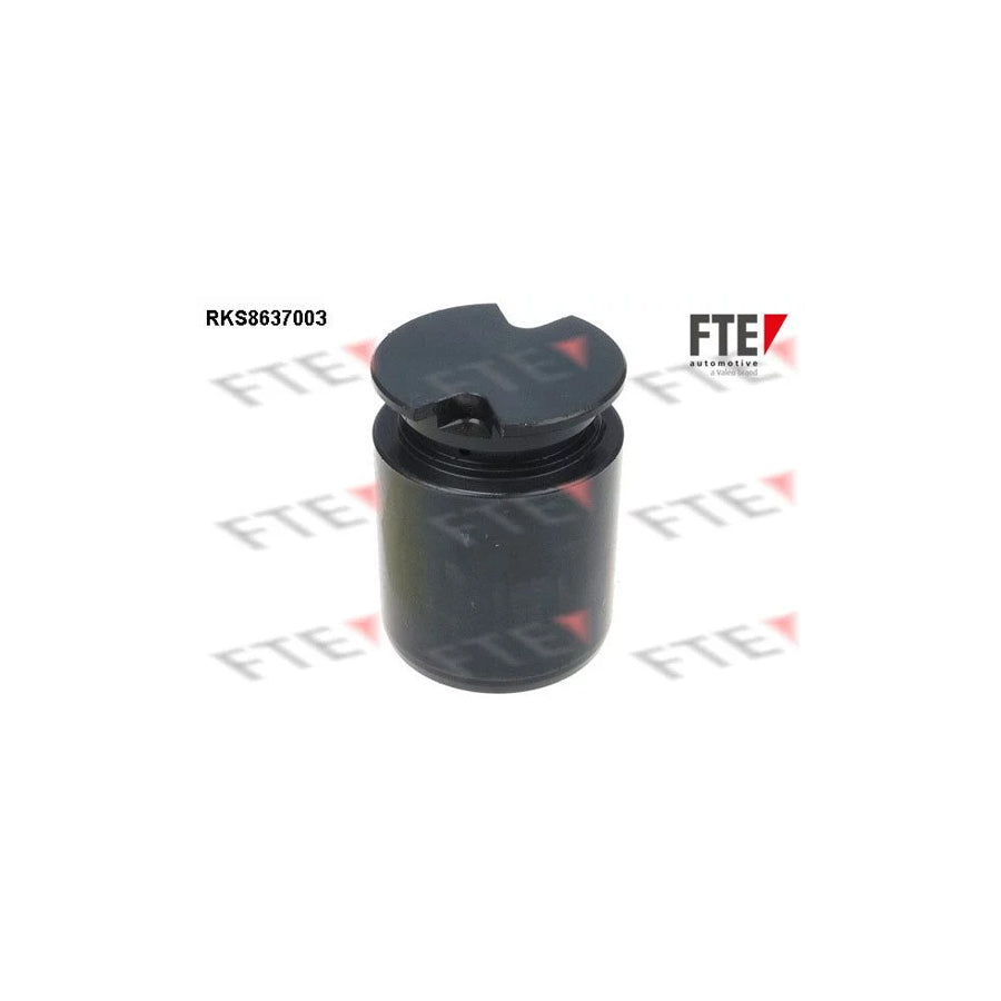 FTE 9313063 Piston, Brake Caliper