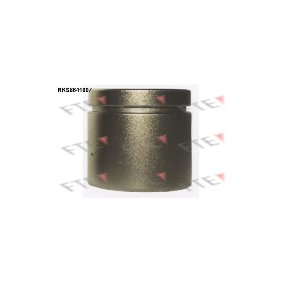 FTE 9313066 Piston, Brake Caliper