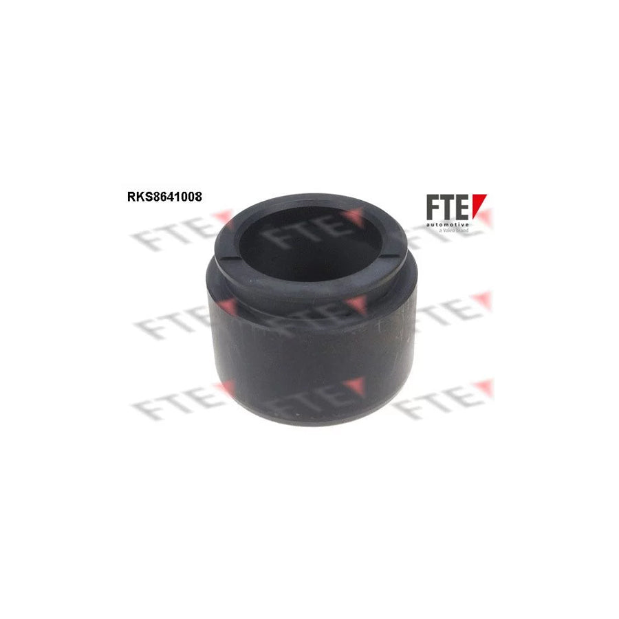 FTE 9313067 Piston, Brake Caliper