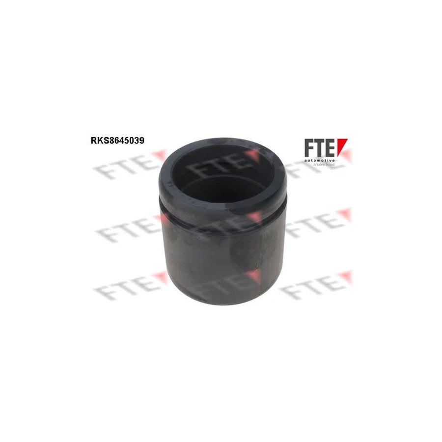 FTE 9313073 Piston, Brake Caliper