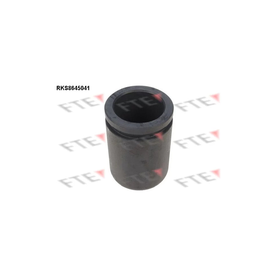 FTE 9313074 Piston, Brake Caliper