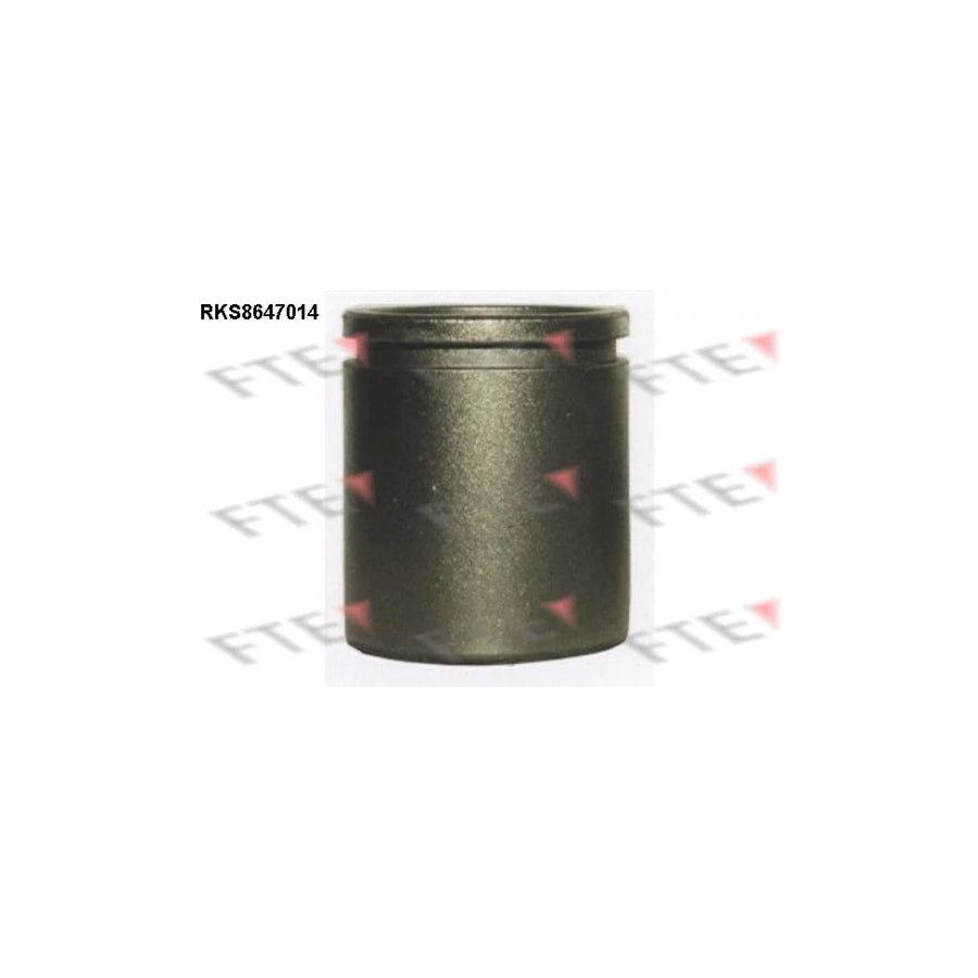 FTE 9313077 Piston, Brake Caliper