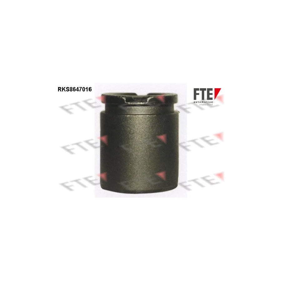 FTE 9313078 Piston, Brake Caliper