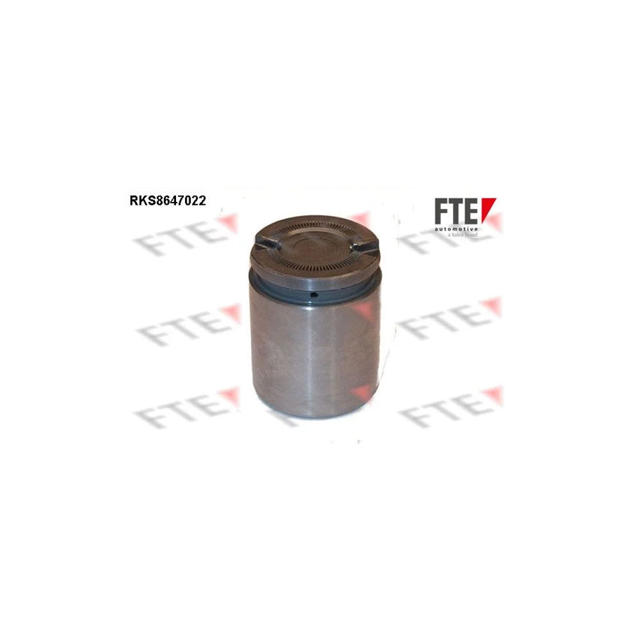 FTE 9313081 Piston, Brake Caliper