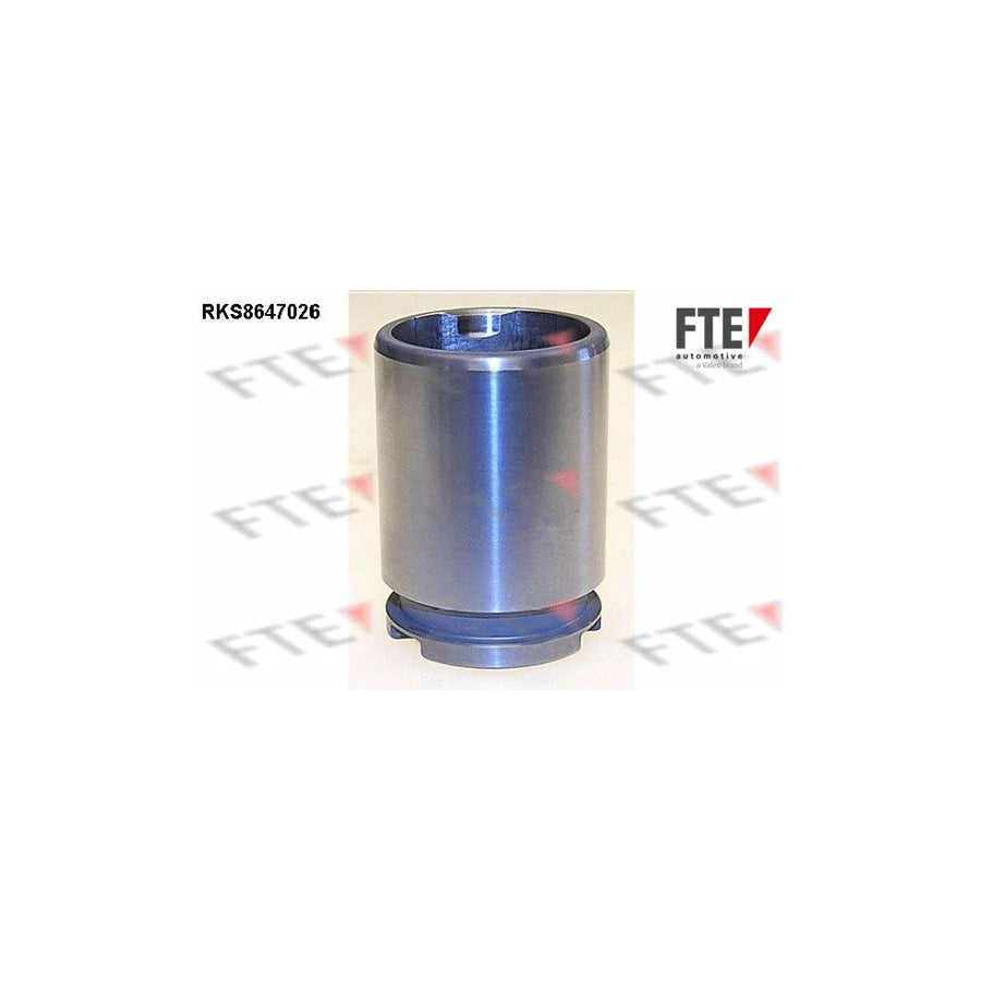 FTE 9313082 Piston, Brake Caliper for VW Passat