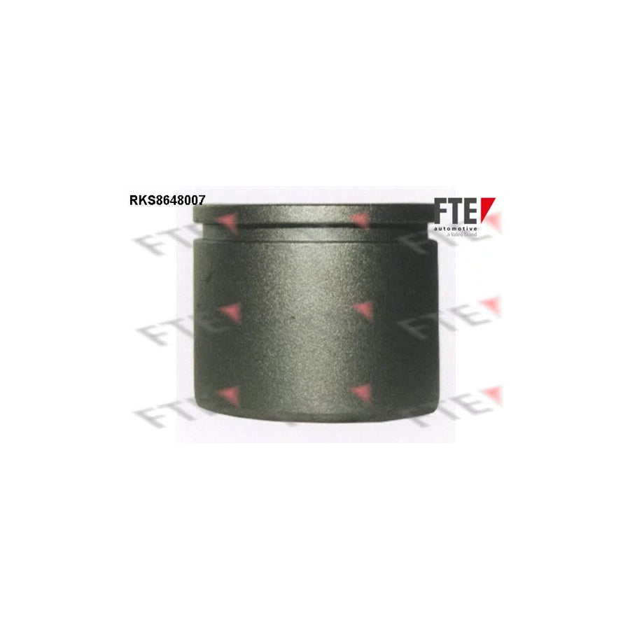 FTE 9313085 Piston, Brake Caliper