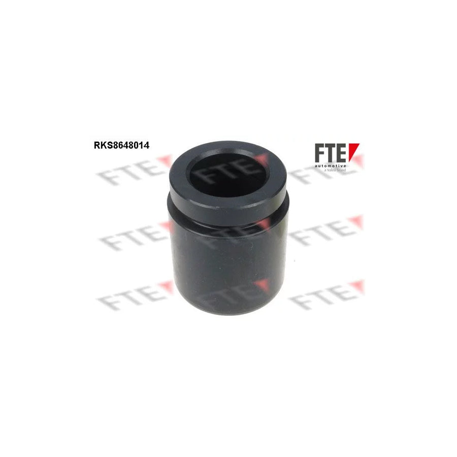 FTE 9313087 Piston, Brake Caliper