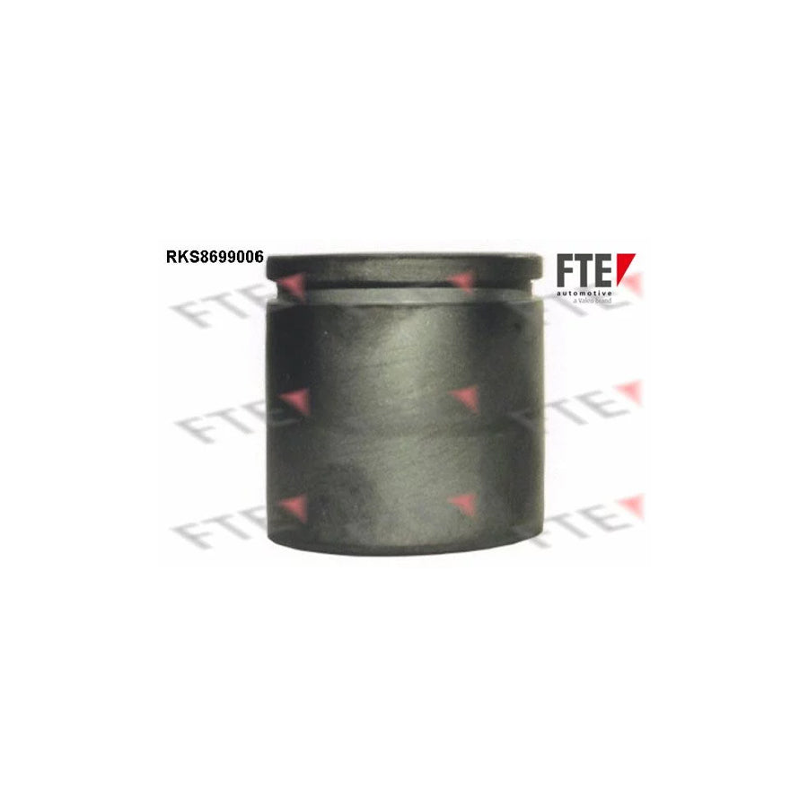 FTE 9313091 Piston, Brake Caliper