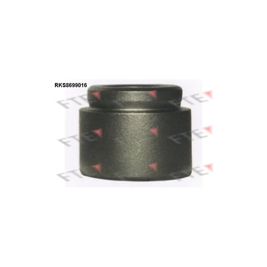 FTE 9313093 Piston, Brake Caliper