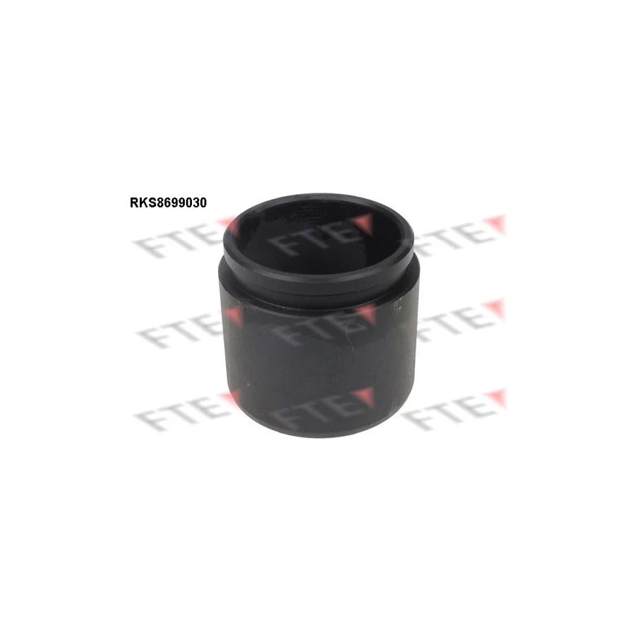 FTE 9313097 Piston, Brake Caliper