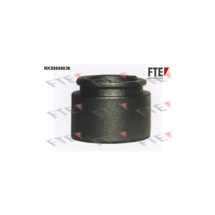 FTE 9313099 Piston, Brake Caliper