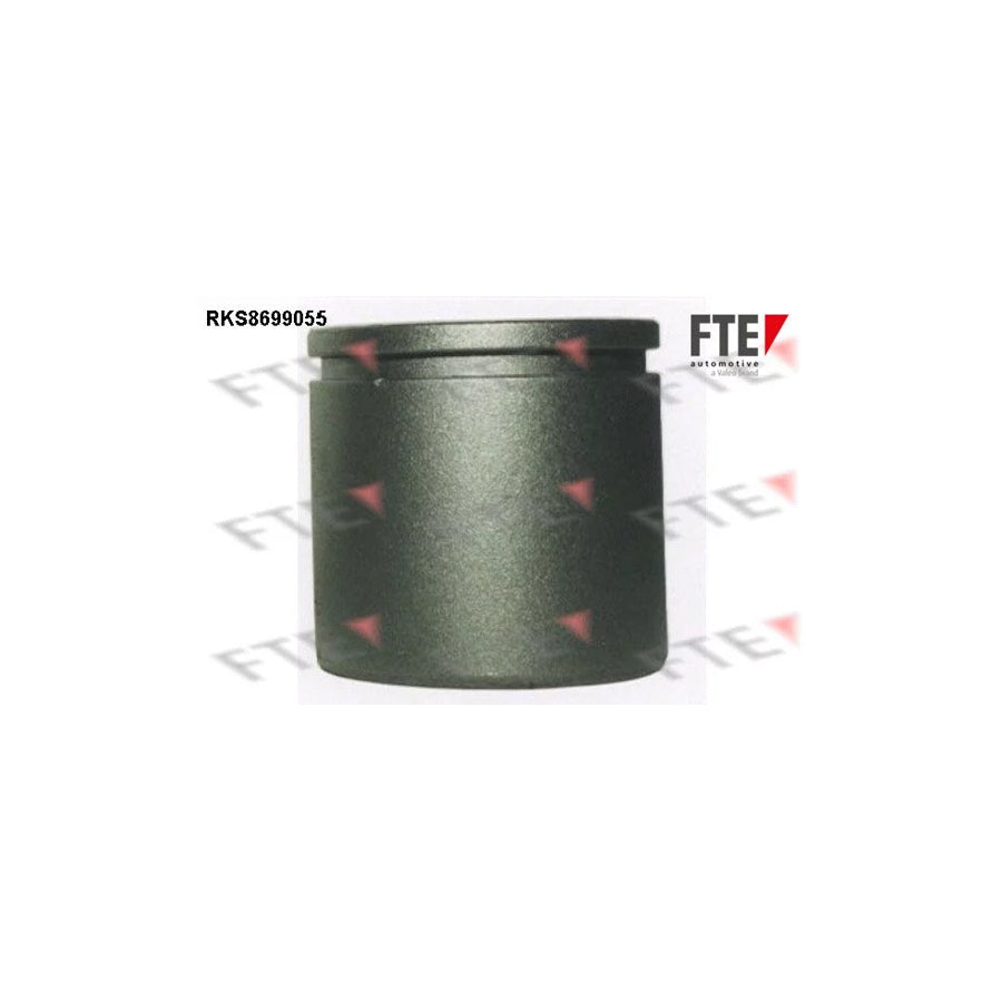 FTE 9313104 Piston, Brake Caliper