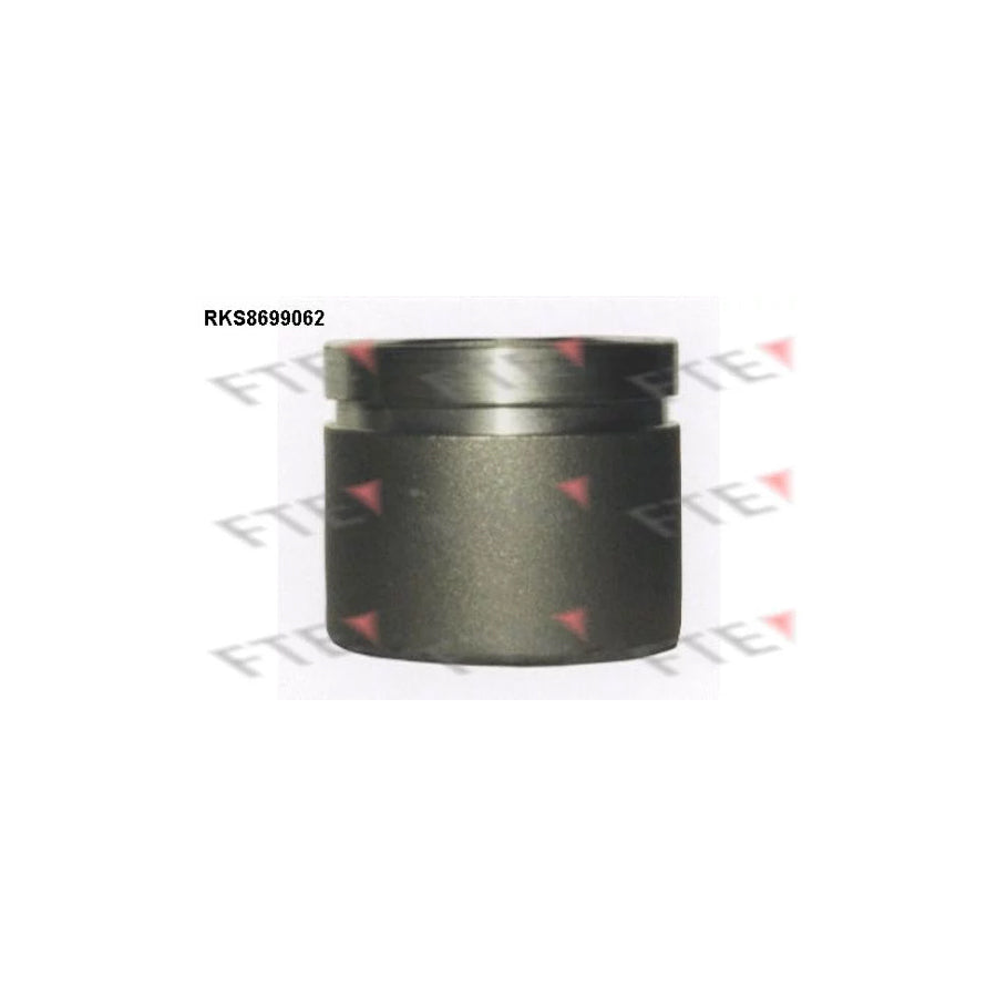 FTE 9313105 Piston, Brake Caliper