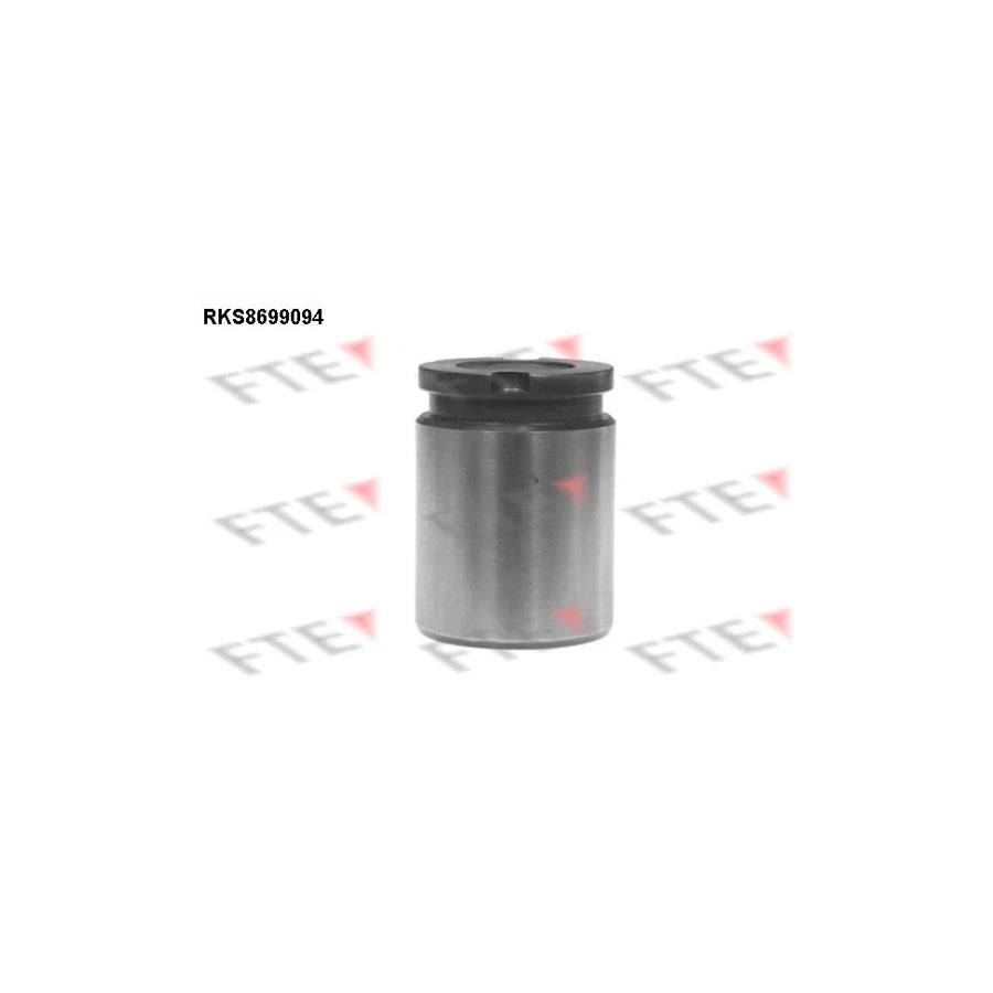 FTE 9313111 Piston, Brake Caliper