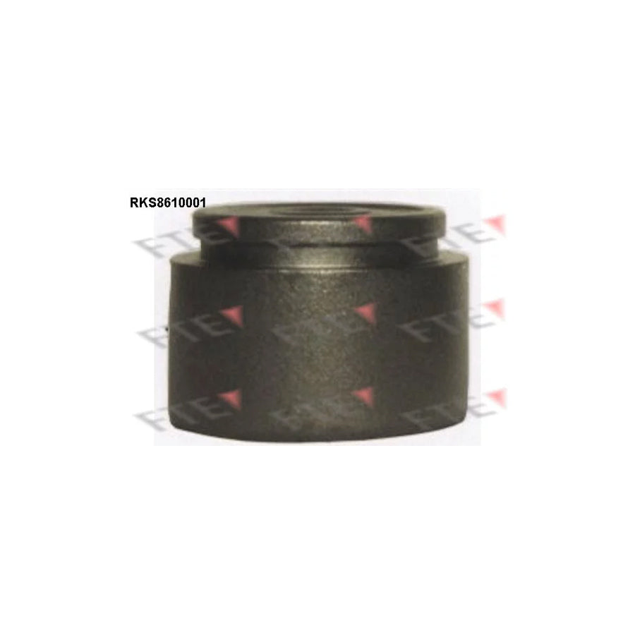 FTE 9313112 Piston, Brake Caliper